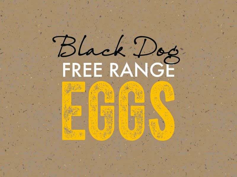 Client logos-Black Dog Eggs